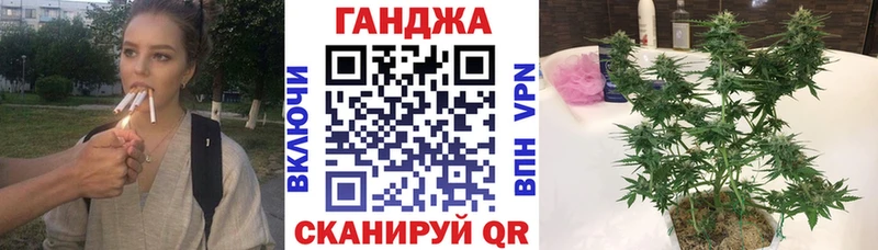 Где продают наркотики Купино ГАШИШ  Alpha-PVP  МЕФ 