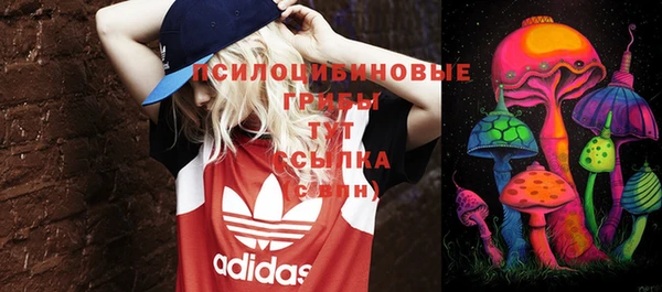 ALPHA PVP Армянск