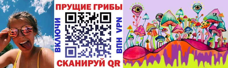 Псилоцибиновые грибы Cubensis  где можно купить наркотик  Купино 
